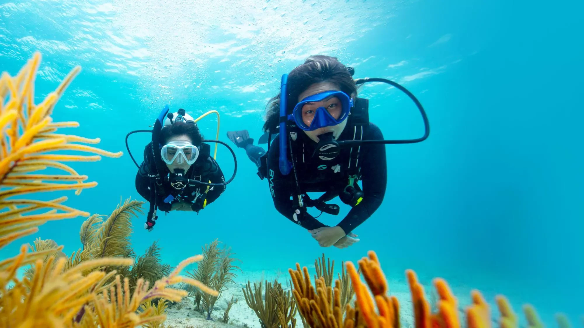 1724521465 946 ۲۰ بازی تابستانی آبی، جنگی و شگفت برای همه سنین دریای.webp