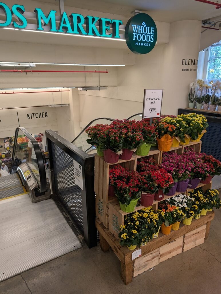 تصاویر هوش مصنوعی پیکسل 9