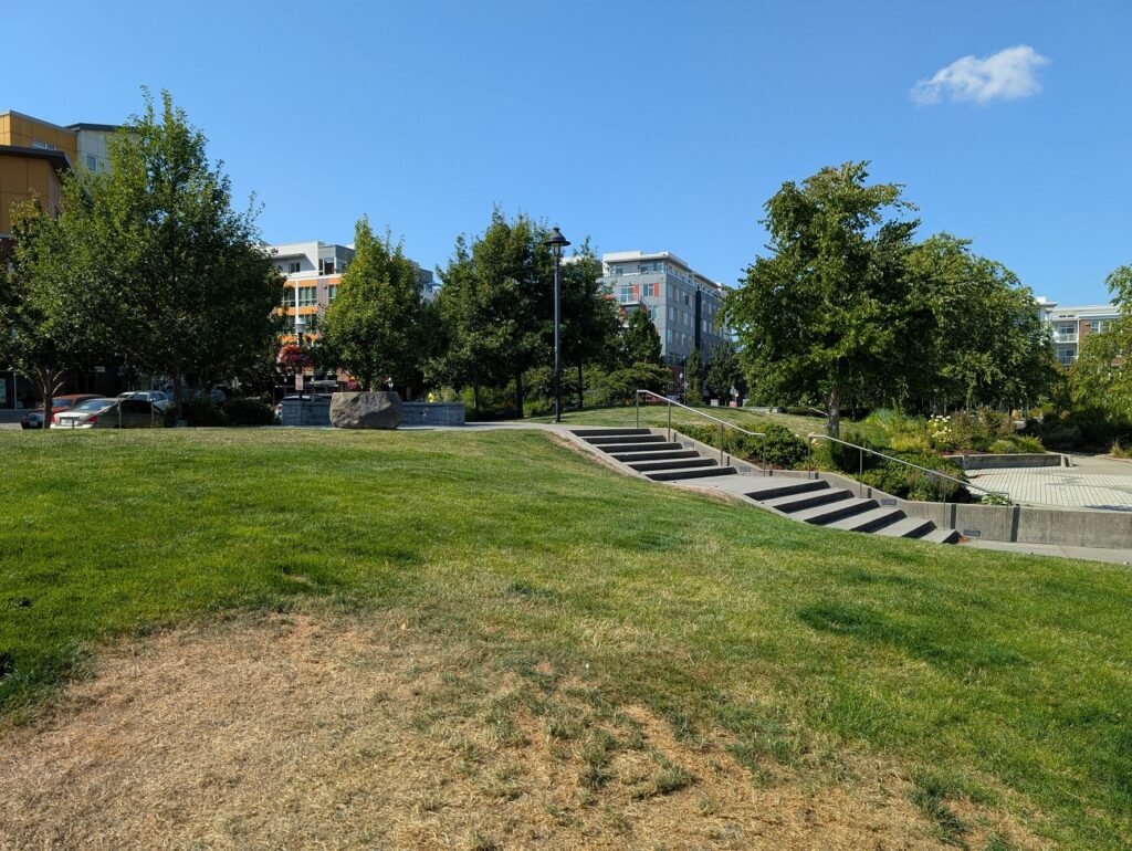 1724755272 934 کارکرد هوش مصنوعی جنجالی تشکیل عکس پیکسل 9 را ببینید