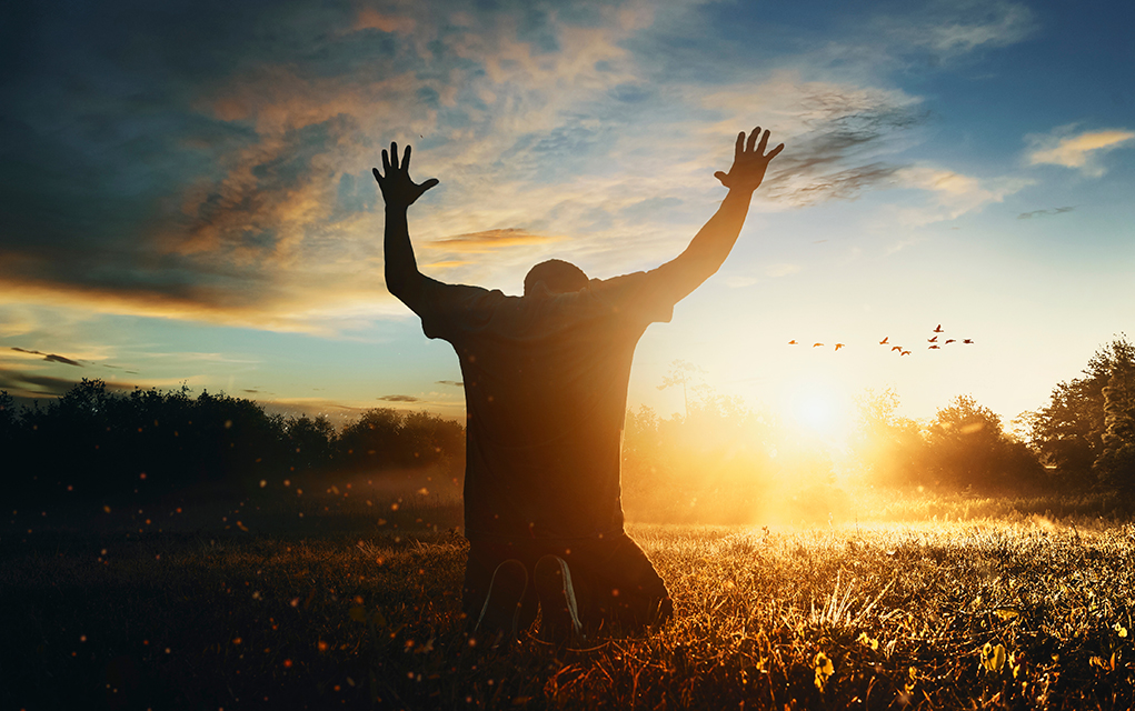 مقصد از خلقت انسان چیست؟_دریای تکنولوژی 50 تعظیم به نور در دشتزار جلوی آسمان